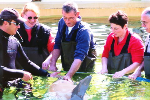 image003