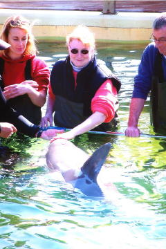 image004